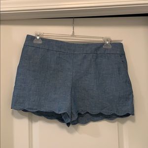 LOFT Riviera Shorts Size 10